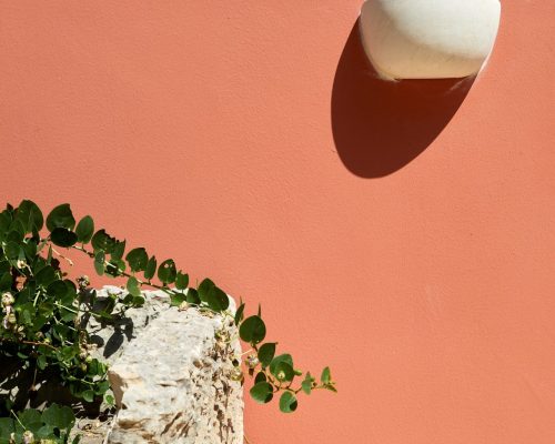 Petra Country House: il rifugio che unisce natura e raffinatezza per un soggiorno indimenticabile